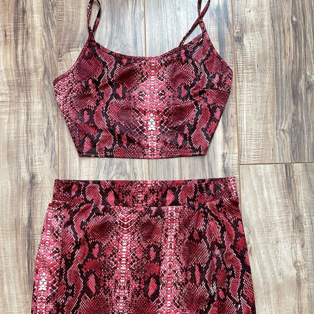 Two Piece Snake Skin Set